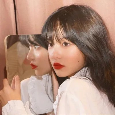 最后的狮子